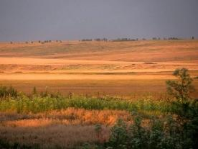 Одесская область: военная прокуратура отсудила 180 гектаров у частника