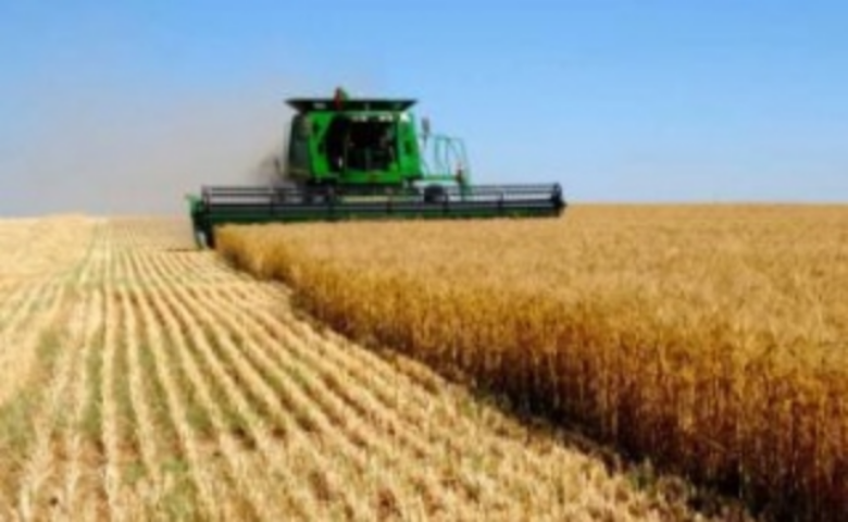 В парламенте собираются урегулировать вопрос членства в личном сельском хозяйстве 