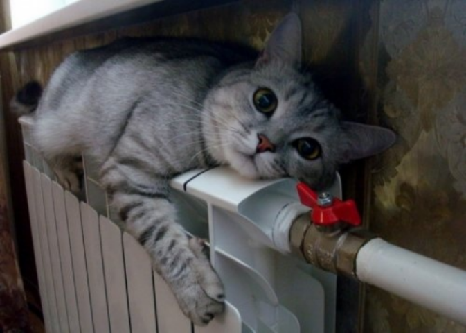 Жильцы 21 дома в Киеве остались без отопления 