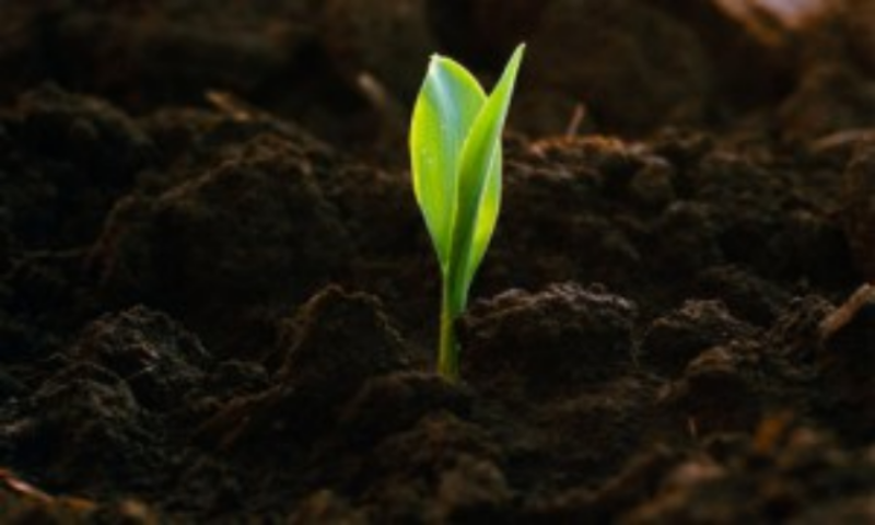 Обзор изменений в земельном законодательстве