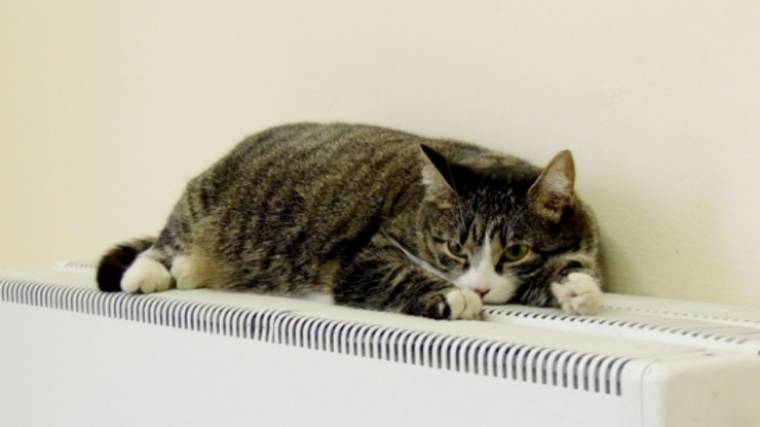 Без тепла остались дома двух районов Киева