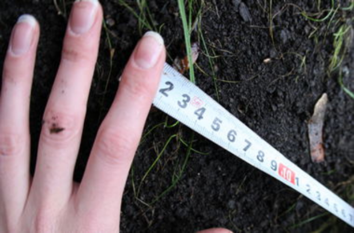 В Украине введут "китайскую" модель аренды земли