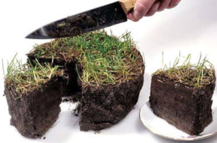 Земельные торги в Киеве состоятся 18 февраля