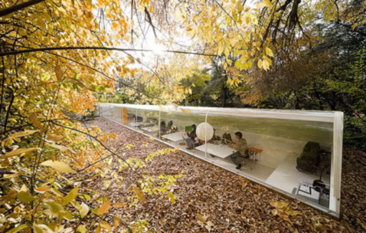 Selgas Cano. Лесной офис