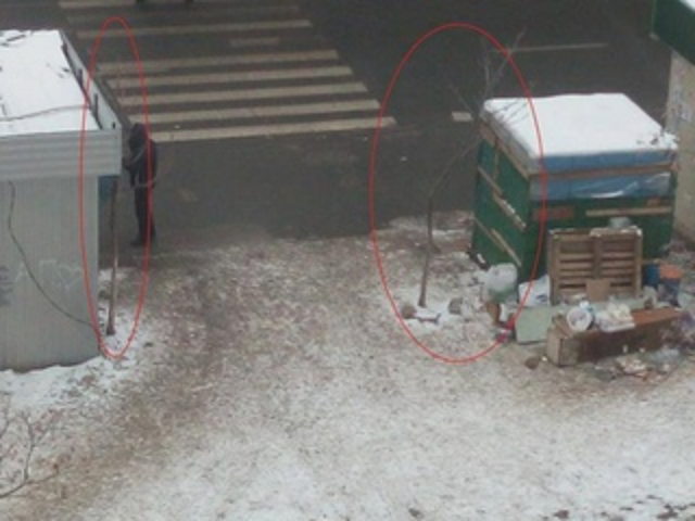 Фотофакт: в Оболонском районе под МАФ спилили деревья