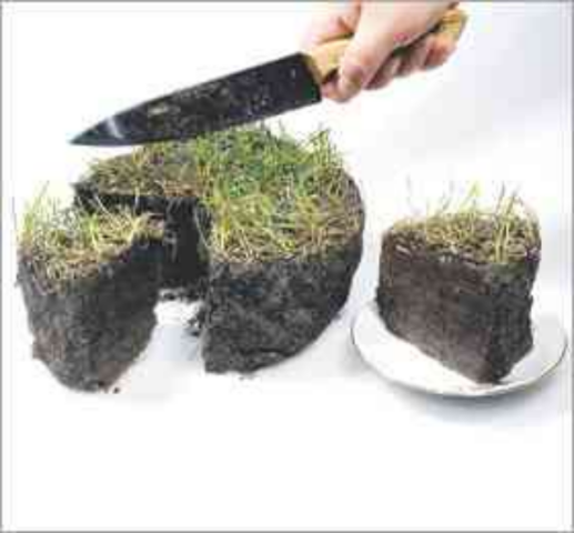 Харьковский горсовет продал “за гроші” несколько десятков земельных участков - список