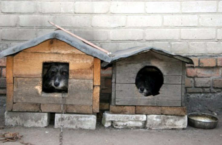 Как правительство "кинуло" граждан с налогом на недвижимость