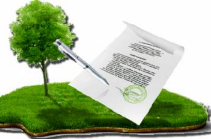 В Украине заработал земельный кадастр