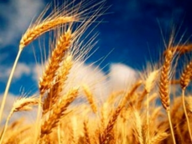 Украина поднялась на 11 позиций в рейтинге лучших стран для бизнеса