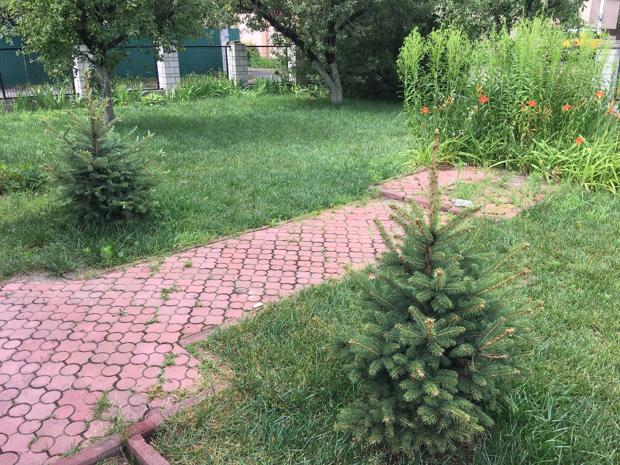 Продажа дома 165 м², Ст росинка ул.