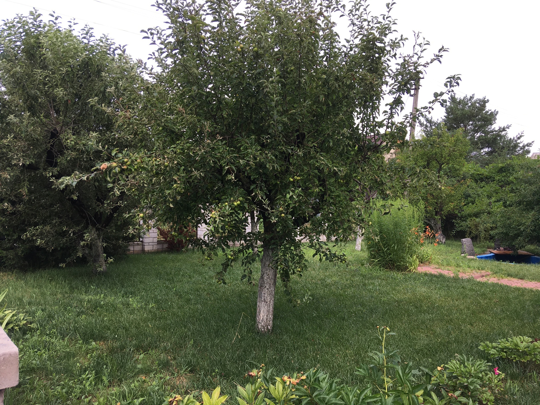 Продажа дома 165 м², Ст росинка ул.