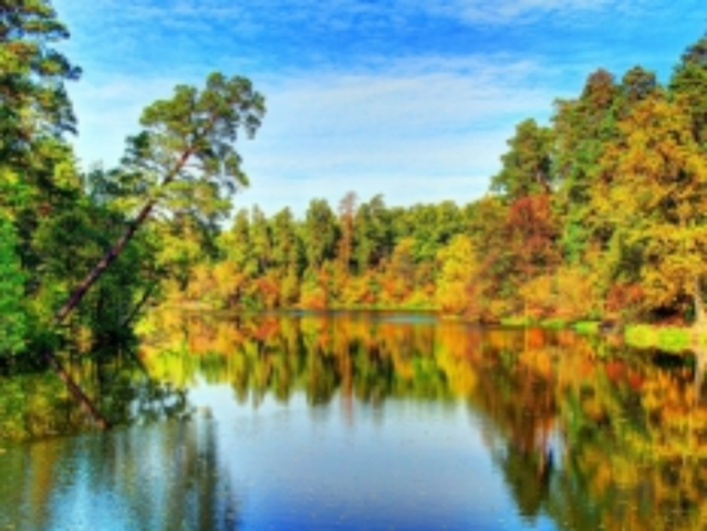 Суд повернув Пущі-Водиці 30 гектарів землі