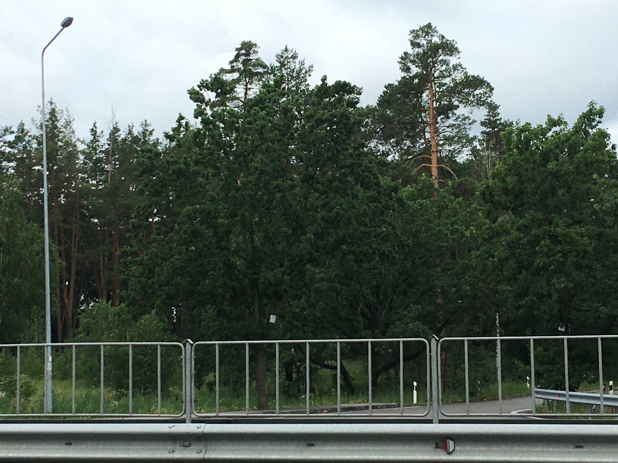 Продажа дома 165 м², Ст росинка ул.