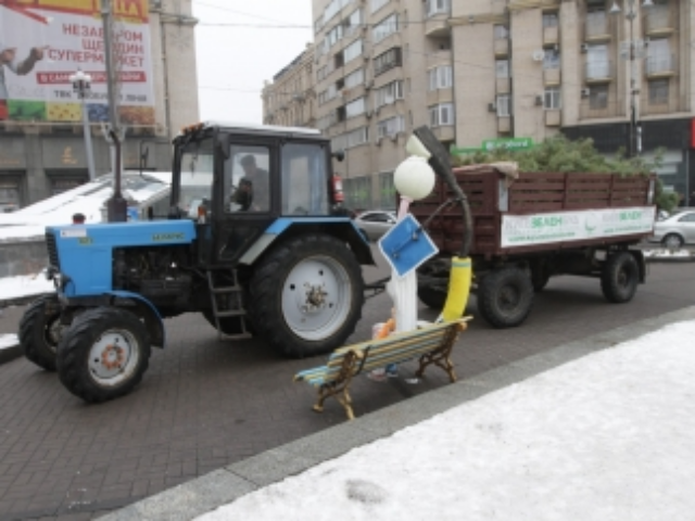 Экономия на праздники: за дешевыми елками - в пригород