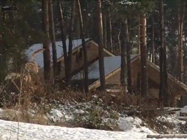 Директор Голосеевского парка вырубил в Конча-Заспе вековые деревья ради имения
	