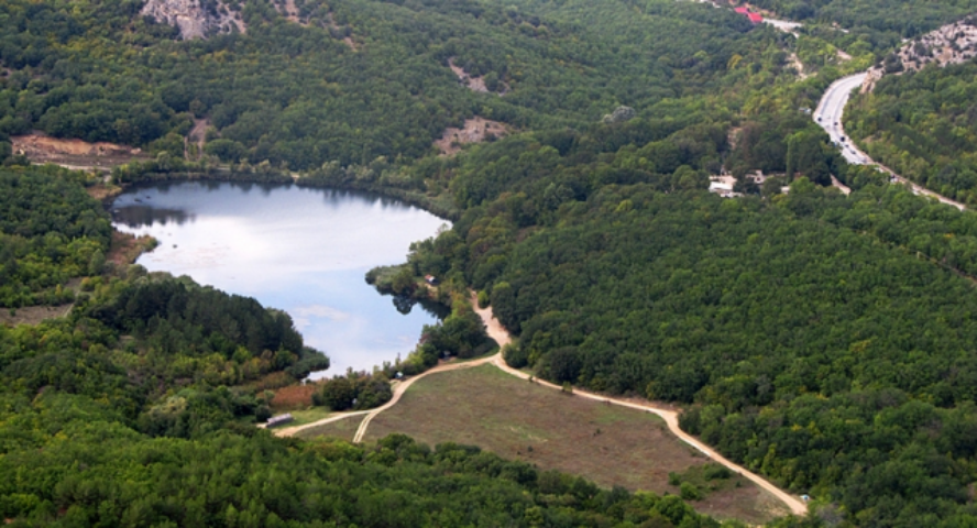 Начальника управления лесного хозяйства Севастополя обвинили в уничтожении заказника