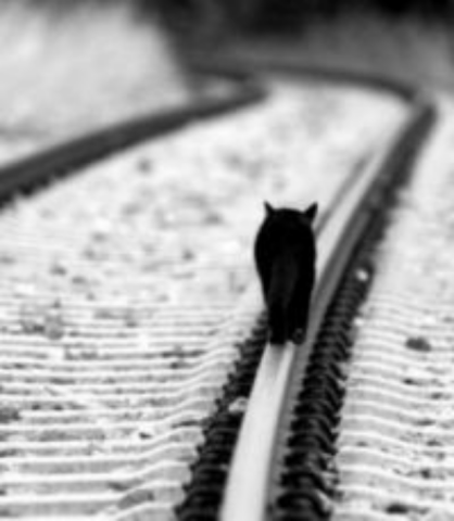 Реформа транспорта в Украине: стоим на полустаночке...