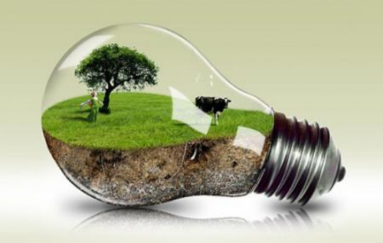 Как украинцам научиться европейской бережливости