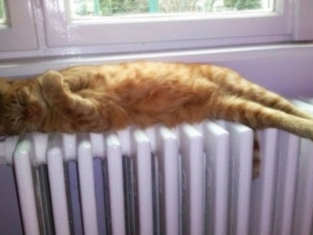 Как и чем греют квартиры киевлян