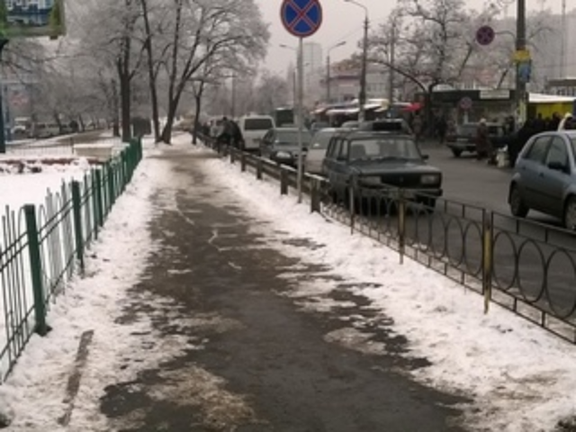 Фотофакт: киевляне отвоевали у оболонских коммунальщиков аллею и клумбу