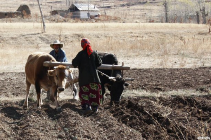 Украинцы - крепостные, или Как из Украины сделали феодальное государство 