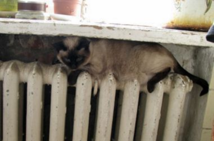 В Украине резко повысили тарифы на отопление