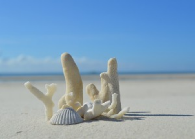 Бермуды признаны любимым местом богачей