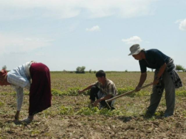 Названы самые востребованные профессии в 2015-2018 гг 