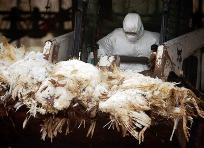 Темная сторона прогресса 