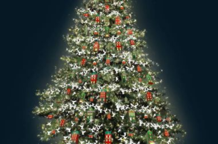 Главная елка Киева и Украины будет живой и "теплой" 