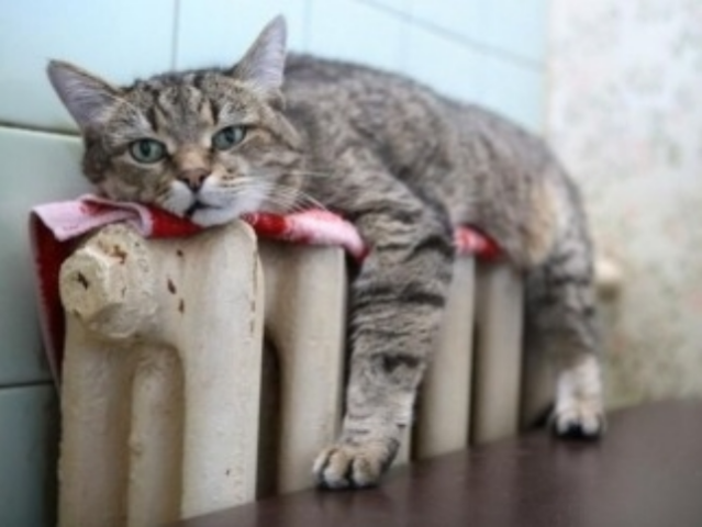 66 семей купили котлы со скидкой от государства