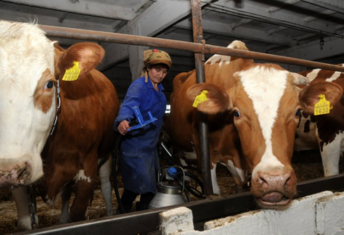 Налоги выбрали животных