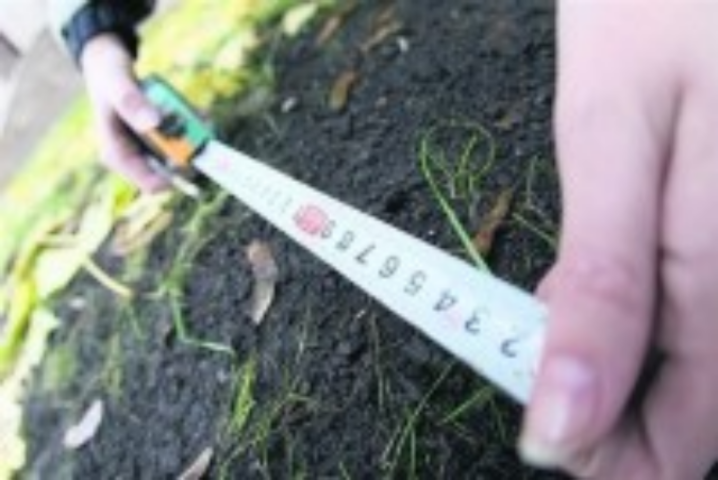 Земельный рынок нуждается в реформах