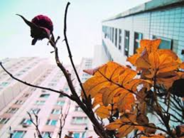 Между бумом и затишьем – что сейчас происходит на рынке недвижимости