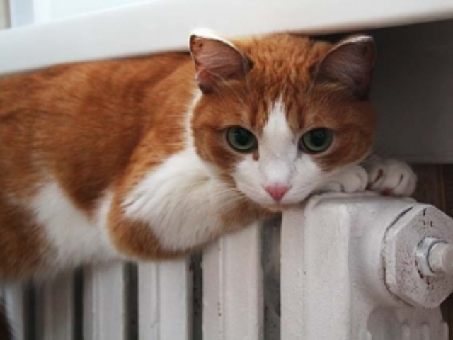 В столице стартовал отопительный сезон