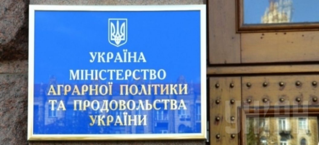 В Минагропроде не слышали о желании Яценюка отменить регулирование цен на продукты