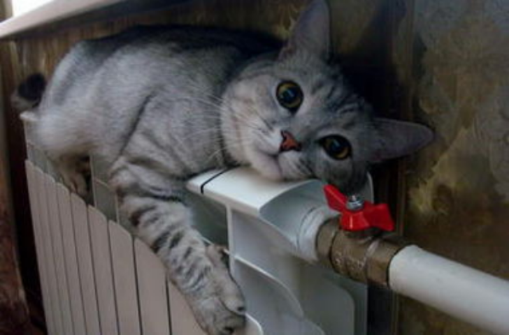 Как сэкономить 20% на оплате тепла