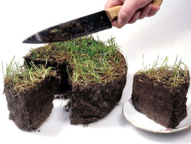 Особенности проведения земельных аукционов