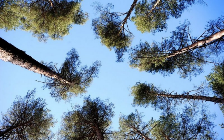 Семья Алишера Усманова купила виллу в Юрмале за €3,9 млн