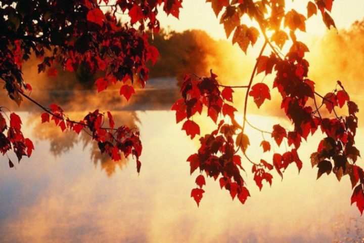 В Украину идет бабье лето