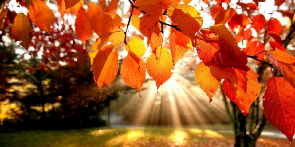 В Украину "бабье лето" придет с 25 сентября