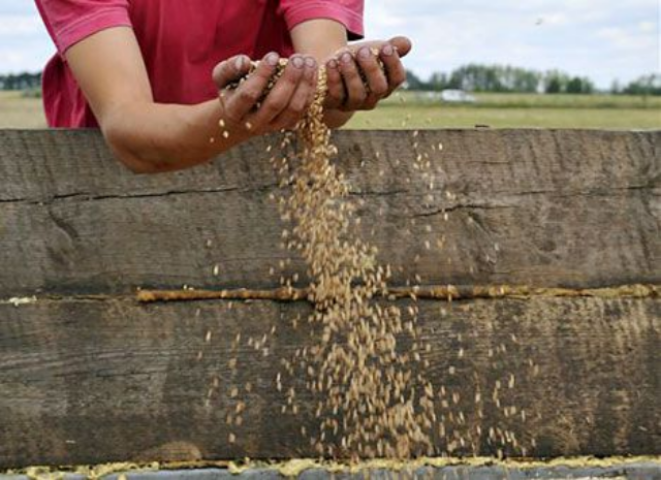 Урожай с подвохом 