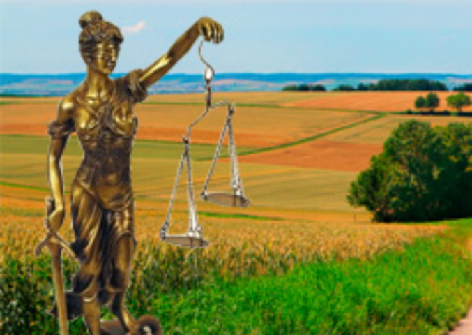 Все земельные вопросы должны рассматриваться прозрачно и публично - депутат Киевсовета