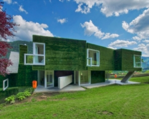 Все цвета радуги: подборка разноцветных домов. Фото