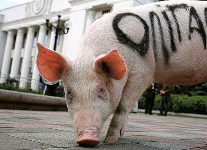 Бей олигархов – спасай Украину! 