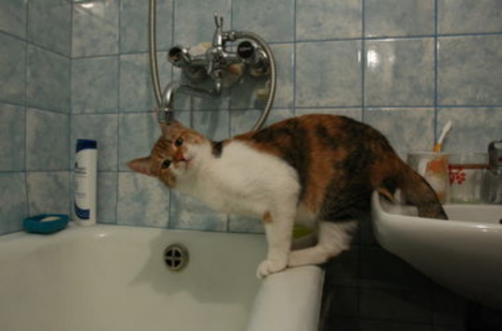 Почему киевляне сидят без горячей воды 