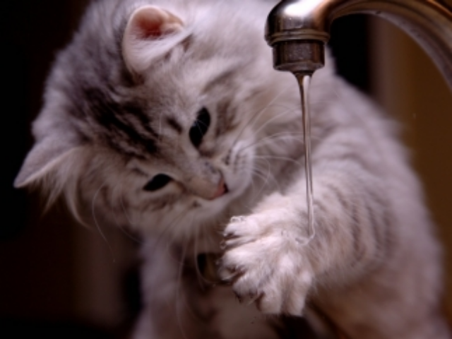 Киевлянам пообещали больше не отключать горячую воду 