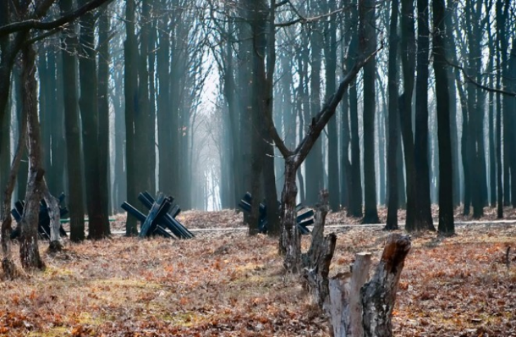 Прокуратура: более 2 гектаров земли на 411-й батарее заняты незаконно