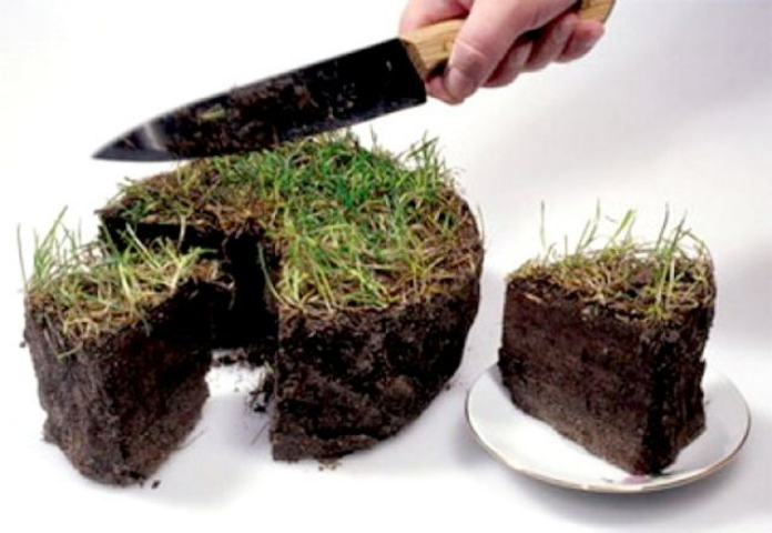 С сентября в Крыму начнут оформлять землю