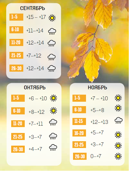 На весь месяц сентябрь. За сентябрем октябрь. Погодный календарь на сентябрь. Прогноз погоды на сентябрь октябрь.